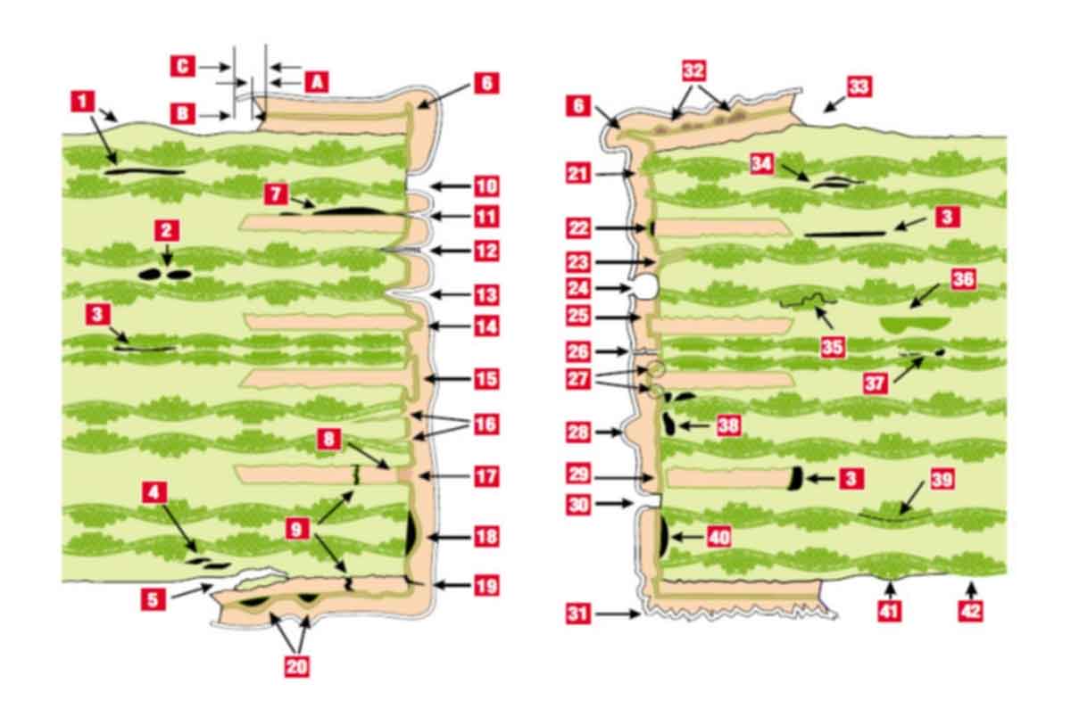 PCB真空貼膜機(jī)：提升生產(chǎn)效率與質(zhì)量的革命性設(shè)備  第1張